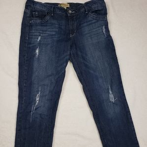 Democracy Equality Skinny Boyfriend Jeans Size 12